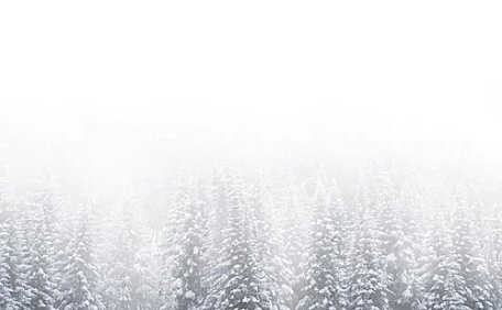 雪地里前行的鹿群壁纸