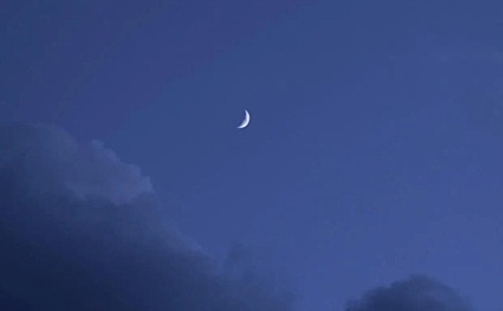 夜幕下的一轮明月壁纸