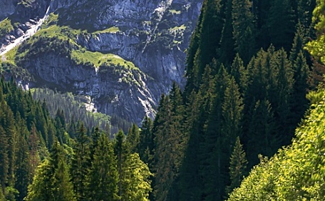 山川湖泊岩石森林风景壁纸