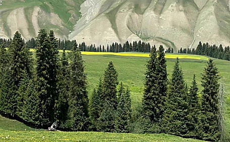 盖着草帽躺在草坪眺望远方山壁纸