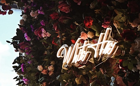 浪漫玫瑰墙壁纸