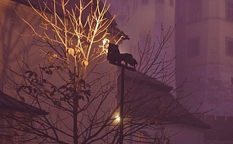 路灯下的帐篷风景壁纸