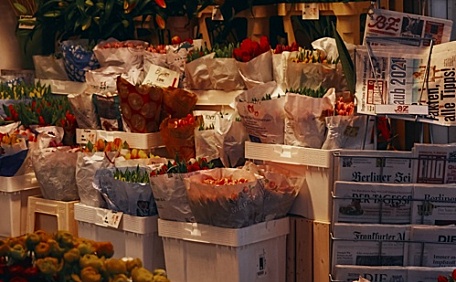 浪漫花店鲜花ins壁纸