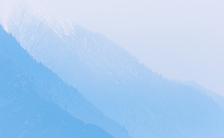 平原上盛开的樱花树壁纸