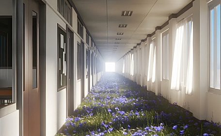 紫色花海下的走廊壁纸