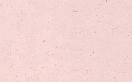 2024啥都顺ins文字壁纸