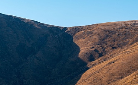枯黄的草景风景壁纸