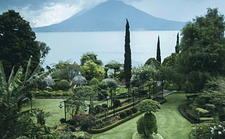 郁郁葱葱的草坪公园壁纸