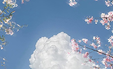 ins羊蹄花盛开和云层风景壁纸