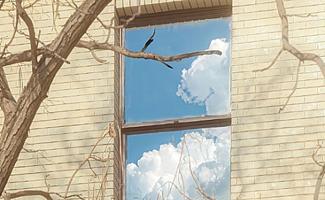 ins窗边的枯树风景壁纸