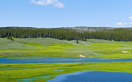 平原上的溪流风景壁纸