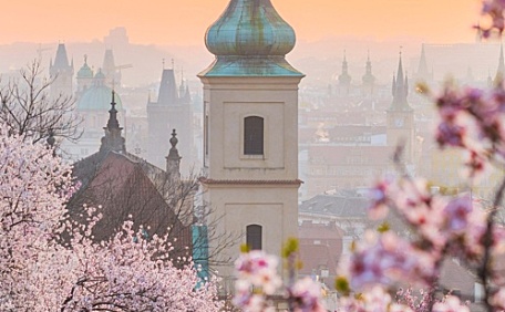 桃花盛开的山头壁纸