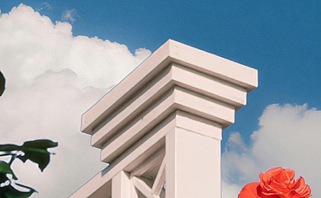 ins月季蔷薇和月牙风景壁纸