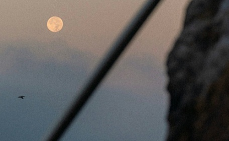 在海边看日落壁纸