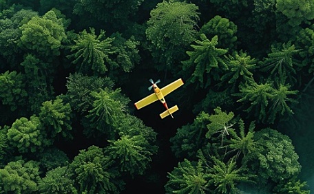 飞机在森林上方飞翔壁纸