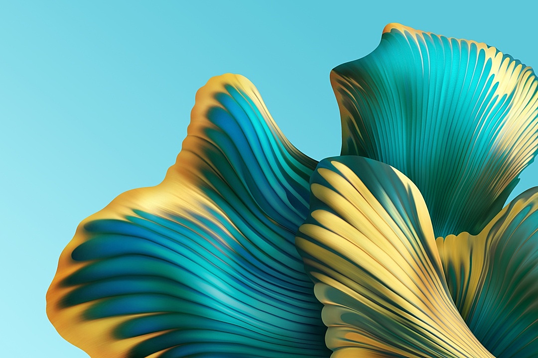 华为matebook x pro 2022内置壁纸抽象概念绽放的数字花朵壁纸