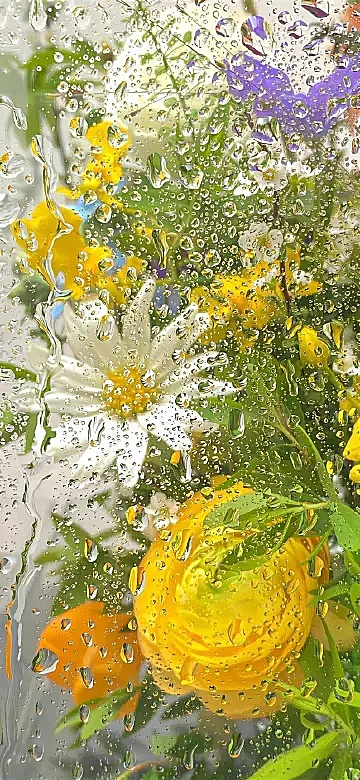 ins雨季鲜花花束黄色壁纸