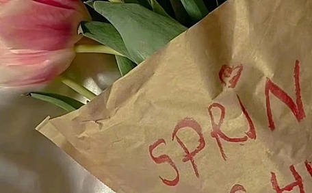 ins粉色郁金香花束牛皮纸壁纸