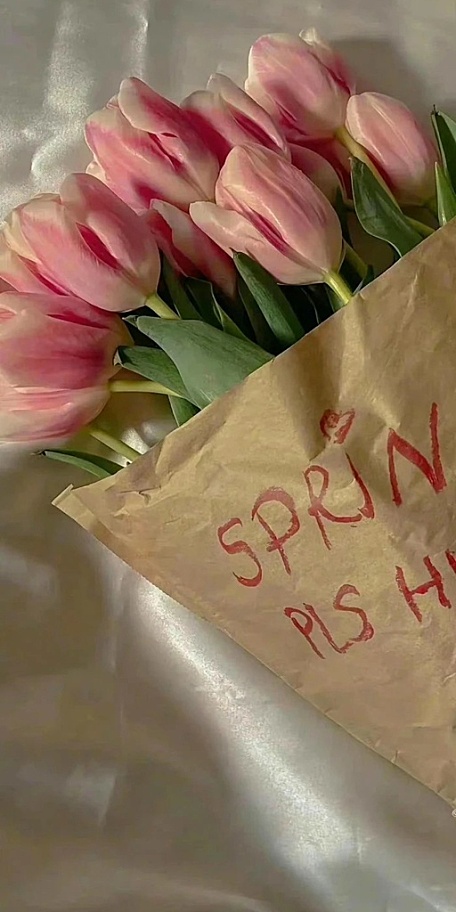 ins粉色郁金香花束牛皮纸壁纸