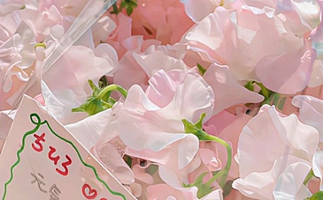 ins粉色香碗豆花束花卉壁纸