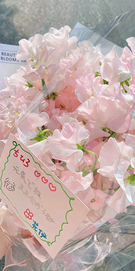 ins粉色香碗豆花束花卉壁纸