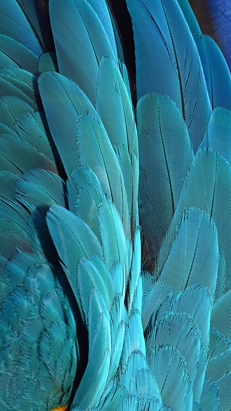 华为MateBook X Pro 手机版5壁纸