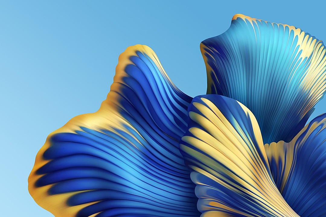 华为matebook x pro 2022内置壁纸抽象概念绽放的数字花朵壁纸