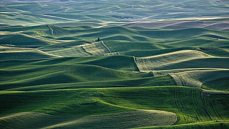 锤子Smartisan TNT wallpaper31壁纸