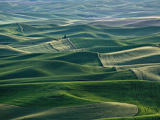 锤子Smartisan TNT wallpaper31壁纸