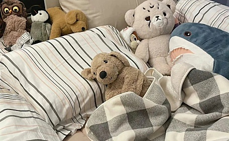 ins小狗小熊鲨鱼玩偶在被窝里壁纸