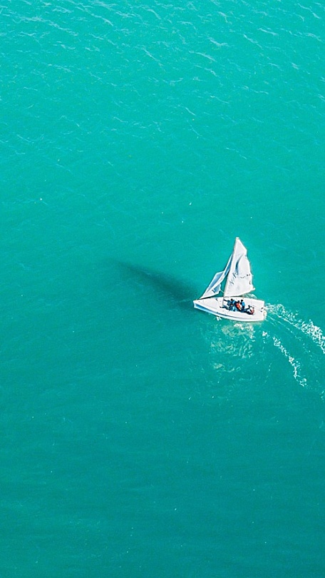 锤子Smartisan TNT For Phone wallpaper23壁纸