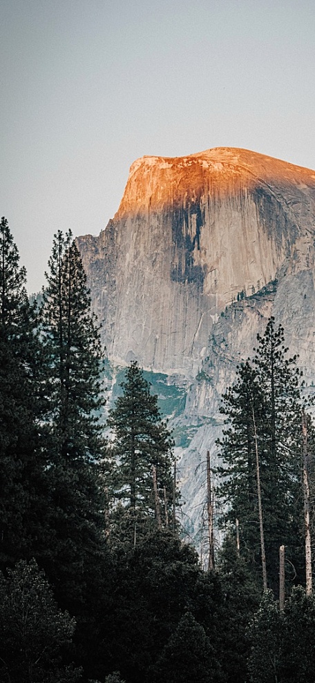 阳光照在山顶湖景湖面森林风景壁纸