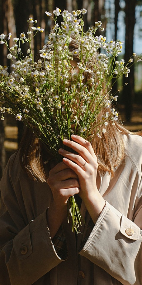 棕发少女手捧着雏菊小洋菊壁纸