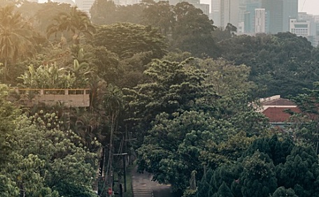 森林公路上行驶的摩托车城市建筑阴天风景壁纸
