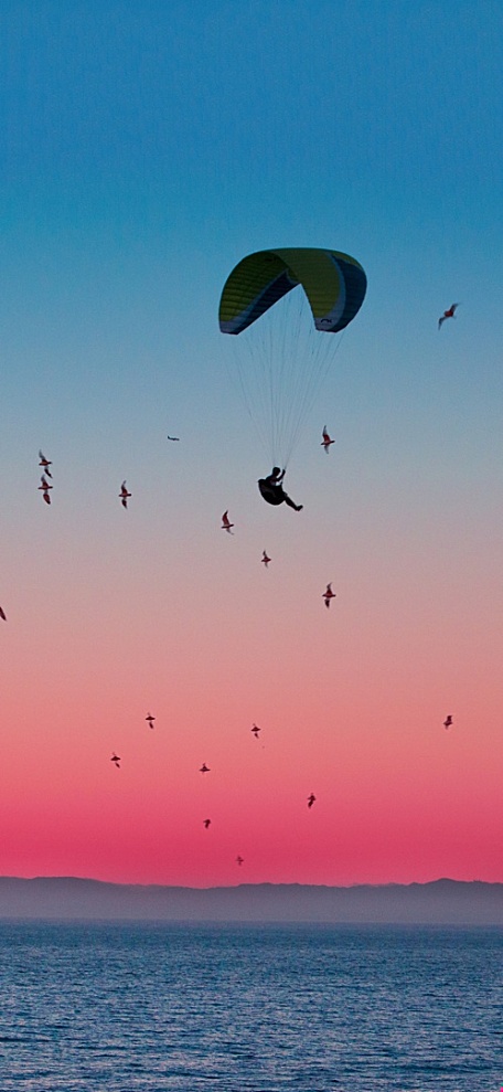 橙红色晚霞蓝天白云海面蓝色滑翔伞风景壁纸