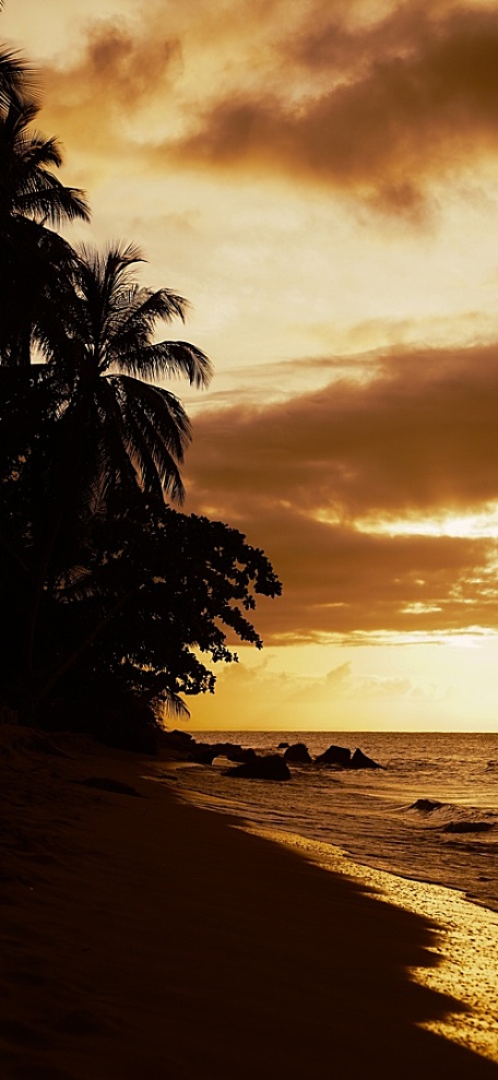 黄昏海平面白云礁石海边森林风景壁纸