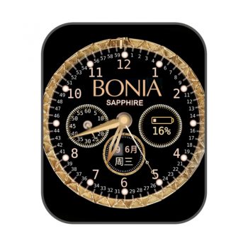 波尼亚BONIA黑色黄金外圈表盘.clock