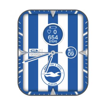 布莱顿足球俱乐部Brighton & Hove Albion F.C.限量款蓝白色系.clock