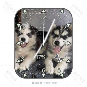 可爱哈士奇狗狗表盘.clock