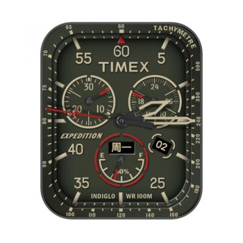TIMEX天美时军绿色机械表盘.clock