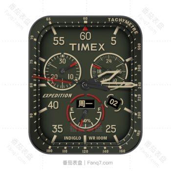 TIMEX天美时军绿色机械表盘.clock