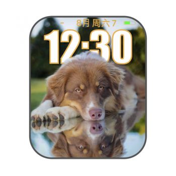 Thai Time __ Animal Portrait v4 by PHON阿拉斯加可爱表盘.clock