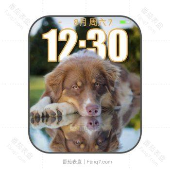 Thai Time __ Animal Portrait v4 by PHON阿拉斯加可爱表盘.clock