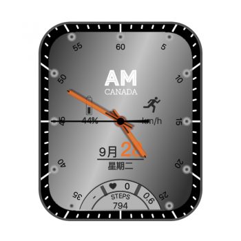 AMCanada加拿大银灰渐变简约机械表盘.clock