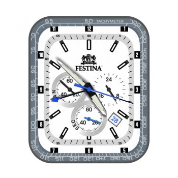 Festina飞士天灰蓝外圈白色简约表盘.clock