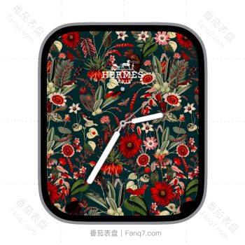 爱马仕Hermes复古花瓣表盘.clock