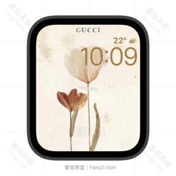 Gucci古驰素雅郁金香苹果iwatch壁纸表盘.watchface