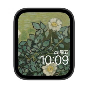 野玫瑰梵高油画苹果iwatch壁纸表盘.watchface