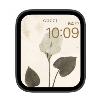 GUCCI古驰素雅花朵苹果iwatch壁纸表盘.watchface