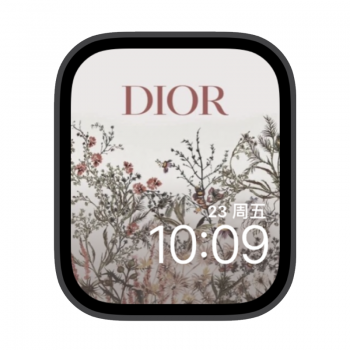 Dior迪奥插画苹果iwatch壁纸表盘.watchface